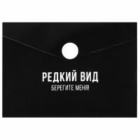 ����� ��� ���� � ������� ����������� ������+, ���. / 12 ����� � ���������� (������������, 10.5�7.4 �