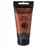    BRAUBERG ART 