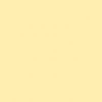 FOLIA  , 300 /2, A4, 10 , 