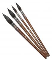  Pinax POSEIDON    N 6