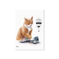 ����� � ������� ��� ��������� ����������� �������� Graf'Art, 160 �/�, �3, 30�