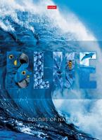 ������-������� �4 160 �. ��. 