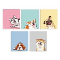 , 48 , , . / 5   /5+,   (2 ),  - 