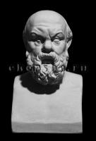 ���� ������� �����