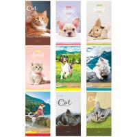 ������� �6 24�. �� ������� ArtSpace 