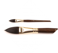 Pinax POSEIDON     N 24