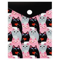 ����� ��� ���������� ����������� ������+, ���. / 12 ������ (������������, 15.8�11.4 ��, 1 ���������