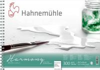 Hahnemuhle      