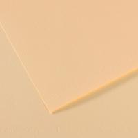 CANSON Mi-Teintes    160/. 50*65 111   10/