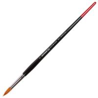 ����� ��� ������ Amsterdam 341 ��������� ������ ������� ����� ������� �8