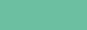         527   II
