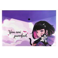 ����� ��� �������� �������� ����������� ������+, ���. / 12 �������� �� ������ (������������, ������