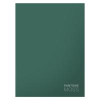 ������� �4 120�. ������� ������� ���������. ������. ������� - ������.���. ������ ����� ��������, ���