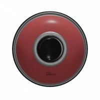 A333 Apricot - �������� 