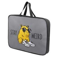 ����� ��� �������� �������� ������+ ���. / 24 ������ �������� ( ������ �4+, 34.5�26�7 ��, 1 ��������