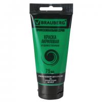 ������ ��������� �������������� BRAUBERG ART 