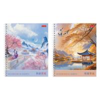  96 5  60-65/.    Soft-touch 2 .    -