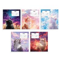   , 24 , , . / 10   /5+,   (2 ), 