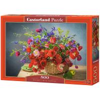 ����  500 ��. Castorl�nd 