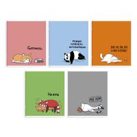 , 48 , , . / 5    /5+,   (2 ),  - 