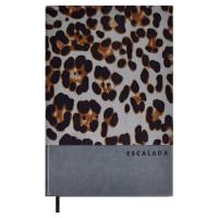    ESCALADA, 5, 160 ., . / 15   (:  146x211 , 