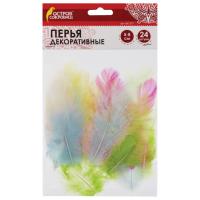 ����� ������������ 