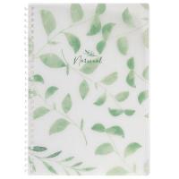  80 B5 175x250  80/. .     