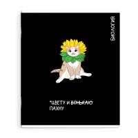   . / 16  ۻ  /48 ., 5+, . - ,  , 