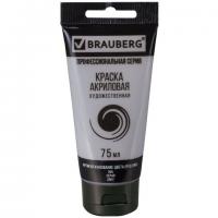    BRAUBERG ART 