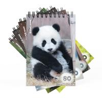 ������� �� ������� ErichKrause ���������, �6, 80 ������, ������_MIX-PACK