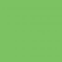 FOLIA  , 300, A4, -