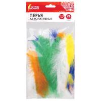 ����� ������������ ���������� (10-12��), 24��., 6 ������, �����, �������, ������ ��������, 661378