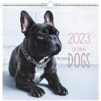 ***  2023 ., _  320320 .   1 .   