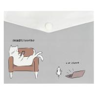 ����� ��� ���������� ����������� ������+, ���. / 12 ������������� (������������, ������ �6, 17�14 ��