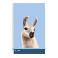 �������� ������ �5+, 100� ���. / ������� /�������-�������, ������� - ���������� ������ 190 �/�2, ��