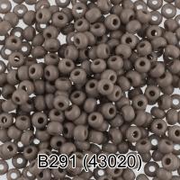 ����� ����� 