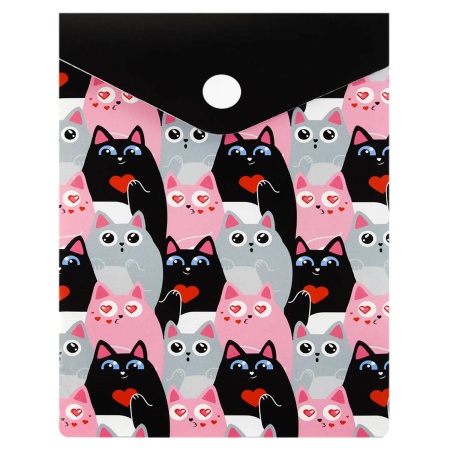 ����� ��� ���������� ����������� ������+, ���. / 12 ������ (������������, 15.8�11.4 ��, 1 ���������