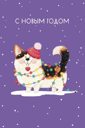 �������� ��� � ������ 