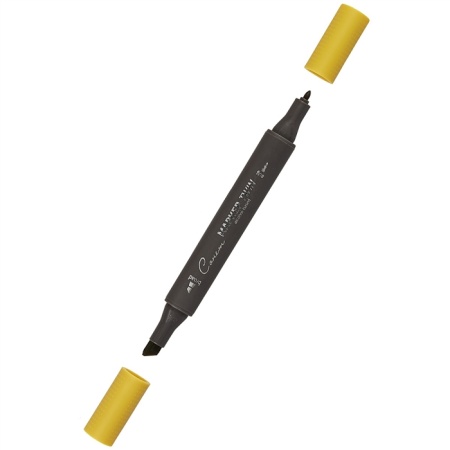 ����� ������ TWIN ��������������, �����-���������