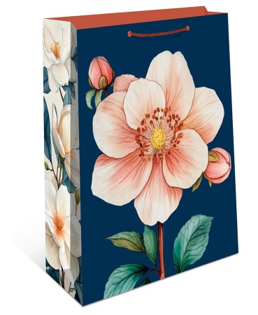 ����� ���������� 11,5�14,5 ��� � ������