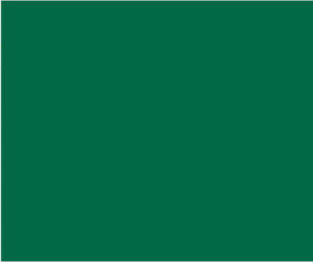 FOLIA  , 300 /2, 5070 , 10 ,  