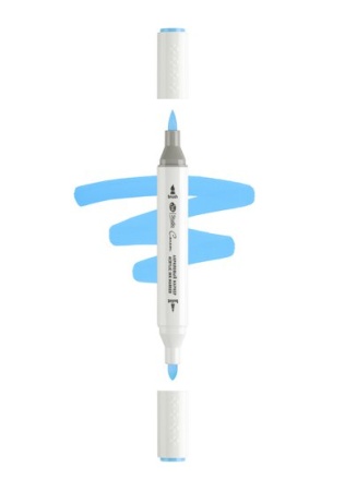 ������ ��������� ������������ 