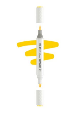 ������ ��������� ������������ 