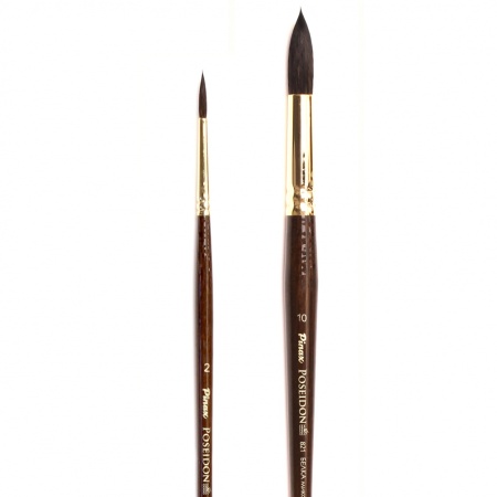  Pinax POSEIDON    N 8 ( )
