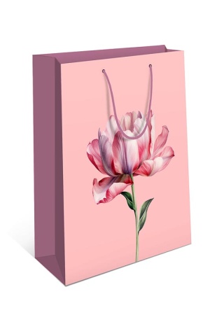 ����� ���������� 33�42,5 ��� � ������