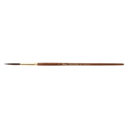  Pinax POSEIDON    N 4