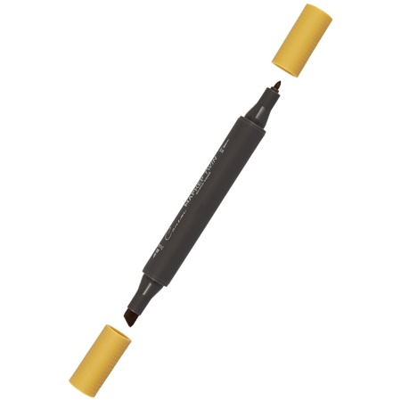 ����� ������ TWIN ��������������, ���������