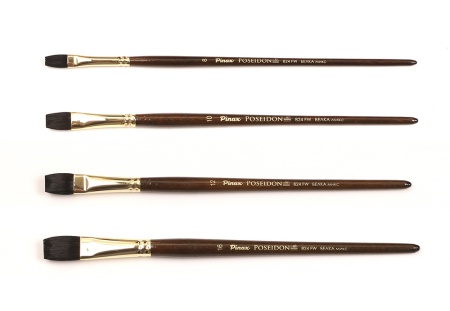  Pinax POSEIDON    N 16 ( )