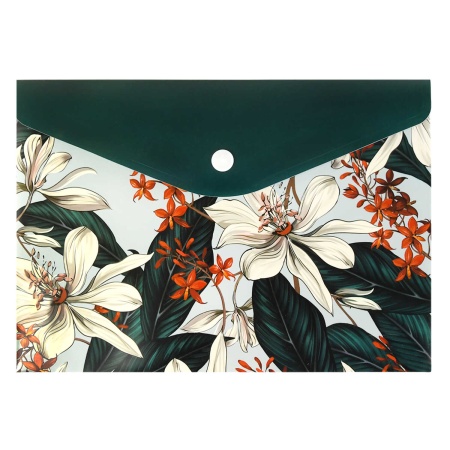 ����� ��� �������� �������� ����������� ������+, ���. / 12 ����������� ����� (������������, ������ �