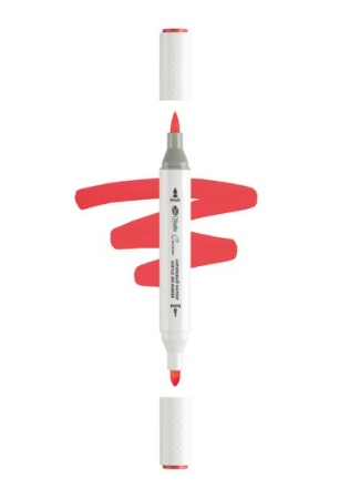 ������ ��������� ������������ 